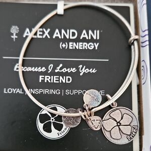 Alex and Ani Silver Charm Bracelet with Flower and Friend Charms
